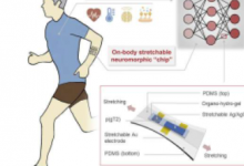 类皮肤电子设备可以持续监测您的健康状况