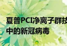 夏普PCI净离子群技术获验证 可减少粘附唾液中的新冠病毒