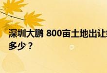 深圳大鹏 800亩土地出让给乐高集团，东部海岸公司受益有多少？