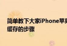 简单教下大家iPhone苹果手机如何清除第三方应用程序的缓存的步骤