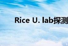 Rice U. lab探测等离子体的分子极限