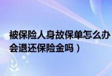 被保险人身故保单怎么办（守护未来合同期内被保险人身故会退还保险金吗）