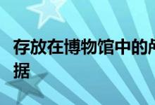 存放在博物馆中的颅骨提供了北极鲸杂交的证据