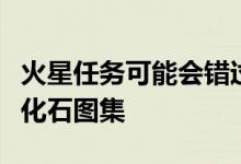 火星任务可能会错过关键证据而没有火成的微化石图集