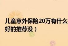 儿童意外保险20万有什么推荐（少儿意外保险哪家好大家有好的推荐没）