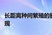 长距离种间繁殖的影响在现代头骨中得到了体现