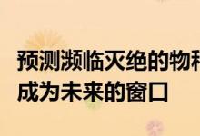 预测濒临灭绝的物种灭绝的可能性数学模型将成为未来的窗口