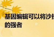 基因编辑可以将沙拉的喜爱变成令人垂涎欲滴的强者