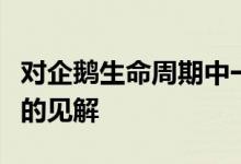 对企鹅生命周期中一个重要但很难理解的部分的见解