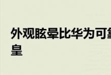 外观眩晕比华为可靠老罗要把坚果Pro做成机皇