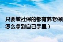 只要缴社保的都有养老保险手册吗（社保的养老保险手册要怎么拿到自己手里）