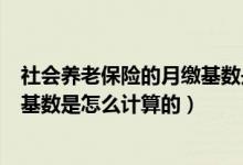 社会养老保险的月缴基数是什么（社会养老保险的个人缴纳基数是怎么计算的）