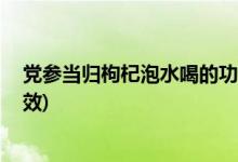 党参当归枸杞泡水喝的功效 (党参当归枸杞一起泡水喝的功效)