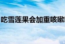 吃雪莲果会加重咳嗽吗 (雪莲果吃了会咳嗽吗)