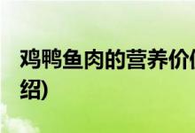 鸡鸭鱼肉的营养价值 (鸡鸭鱼肉的营养价值介绍)