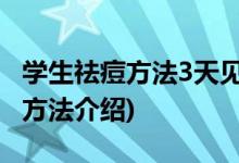 学生祛痘方法3天见效 (学生祛痘方法3天见效方法介绍)