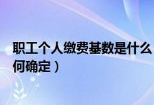 职工个人缴费基数是什么（企业职工的个人保险缴费基数如何确定）