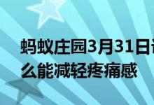 蚂蚁庄园3月31日课堂 被蜜蜂蜇伤之后涂什么能减轻疼痛感