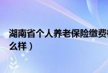 湖南省个人养老保险缴费标准（湖南省养老保险缴费比例怎么样）