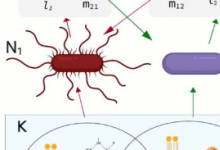 数学模型显示了物种间互惠共生的全球趋势