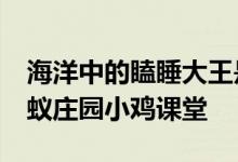 海洋中的瞌睡大王是什么海洋动物 4月2日蚂蚁庄园小鸡课堂