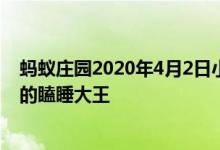 蚂蚁庄园2020年4月2日小课堂答案 下列哪种动物是海洋中的瞌睡大王