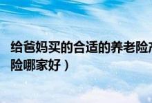 给爸妈买的合适的养老险产品（想给爸妈买一份养老险,养老险哪家好）