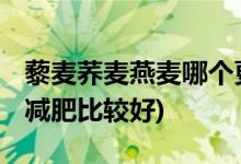 藜麦荞麦燕麦哪个更减肥 (藜麦荞麦燕麦哪个减肥比较好)