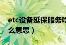 etc设备延保服务啥意思（ETC申请延保是什么意思）