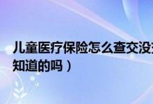 儿童医疗保险怎么查交没交（怎么查医疗保险交没交大家有知道的吗）