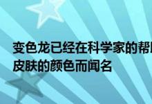 变色龙已经在科学家的帮助下发现了这种技术变色龙以改变皮肤的颜色而闻名