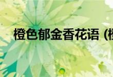 橙色郁金香花语 (橙色郁金香花语是什么)