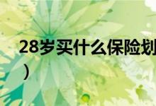 28岁买什么保险划算（28岁买什么保险合适）