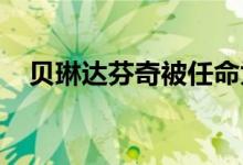 贝琳达芬奇被任命为英国三大首席信息官