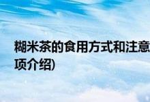 糊米茶的食用方式和注意事项 (糊米茶的食用方式和注意事项介绍)