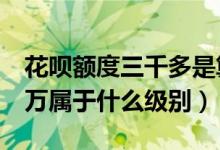 花呗额度三千多是算什么级别呢（花呗额度3万属于什么级别）