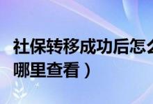 社保转移成功后怎么看（社保转移成功后是在哪里查看）