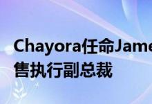 Chayora任命James McCartney为亚太区销售执行副总裁