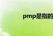 pmp是指的什么(pmp介绍)