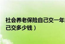 社会养老保险自己交一年多少钱（社会养老保险每年需要自己交多少钱）