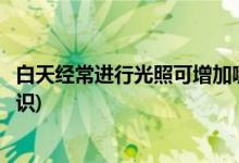 白天经常进行光照可增加哪种维生素的吸收(维生素的相关知识)