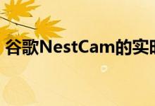 谷歌NestCam的实时视频历史记录出现故障