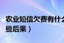 农业短信欠费有什么后果（农业短信欠费有哪些后果）