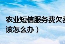 农业短信服务费欠费补缴办法（农业短信欠费该怎么办）