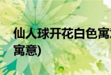 仙人球开花白色寓意是什么(仙人球开花白色寓意)