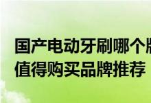 国产电动牙刷哪个牌子好，双十一200元内最值得购买品牌推荐