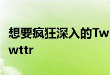 想要疯狂深入的Twitter应用着色体验吗尝试twttr