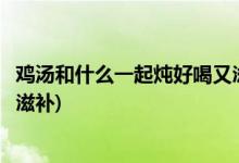 鸡汤和什么一起炖好喝又滋补(鸡汤和哪种东西一起炖好喝又滋补)