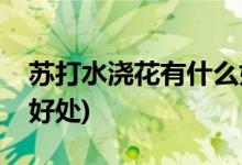 苏打水浇花有什么好处作用(小苏打养花有何好处)