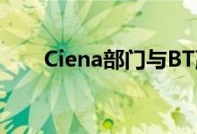 Ciena部门与BT赢得自动化软件合同